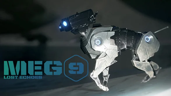 Meg 9